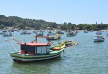 Veja como regularizar a sua carteirinha da Pesca; ministério publica portaria