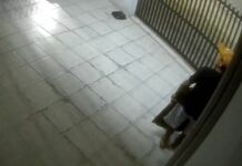 VIDEO Ladrão furta produtos eletrônicos de loja na Avenida Nereu Ramos em Piçarras