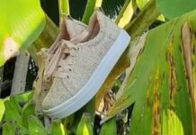 Empresa de Blumenau fabrica tênis com fibra de banana