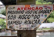 Placa em praia famosa de Florianópolis manda recado a usuários de drogas: “se usar aqui, o bambu pega”