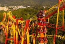 Beto Carrero World fecha parceria com Paramount e terá Bob Esponja