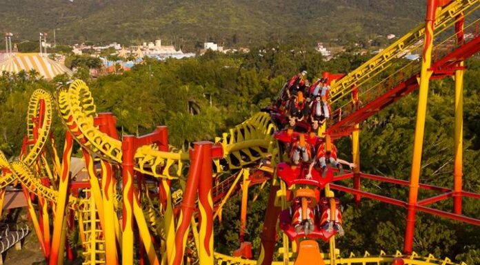 Beto Carrero World fecha parceria com Paramount e terá Bob Esponja