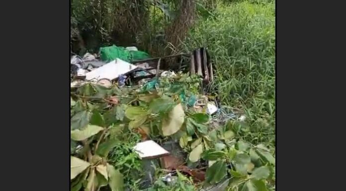 VIDEO Moradores da Rua Porto Alegre, em Penha, denunciam lixão nas esquinas
