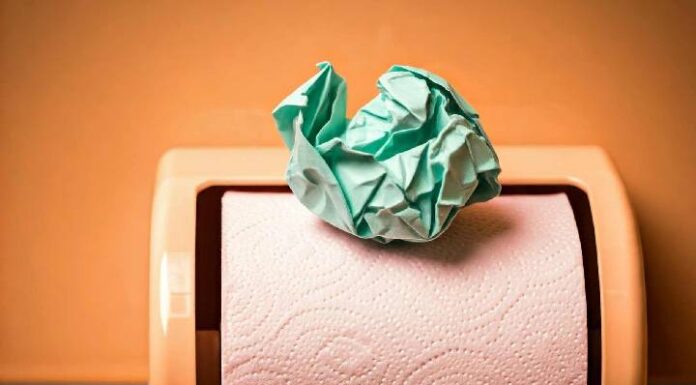Cuidado com o que você joga no vaso sanitário: práticas incorretas podem trazer transtornos e até multas