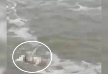 Homem é encontrado morto próximo ao molhe em Navegantes