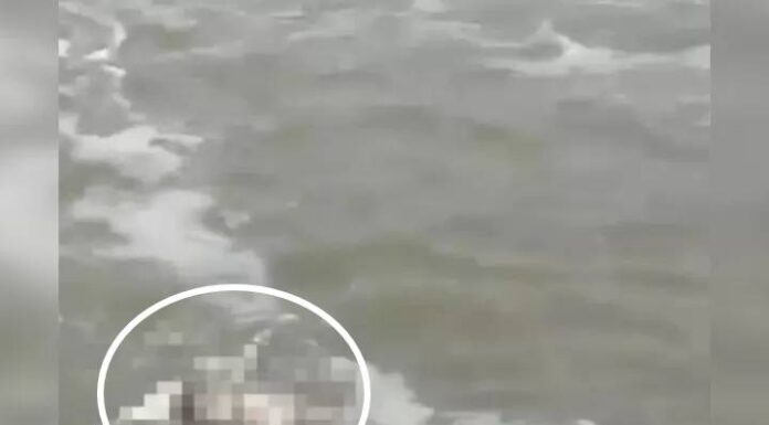Homem é encontrado morto próximo ao molhe em Navegantes