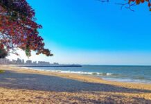 Balneário Piçarras será a nova Praia Brava do litoral norte catarinense