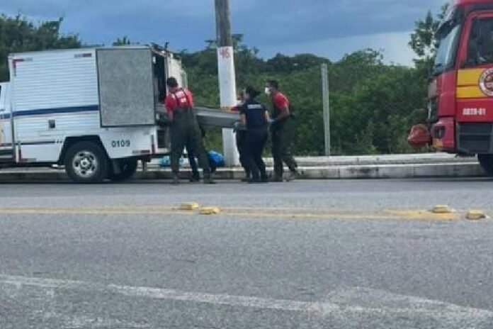 Novo Projeto - 2024-12-17T100509.241