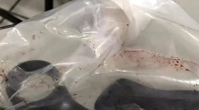 Idosa é encontrada morta com perfuração causada por tesoura em SC