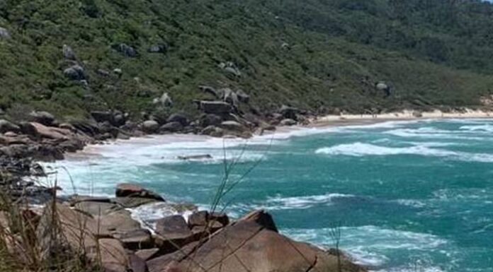 Projeto busca legalizar prática de nudismo na Praia da Galheta