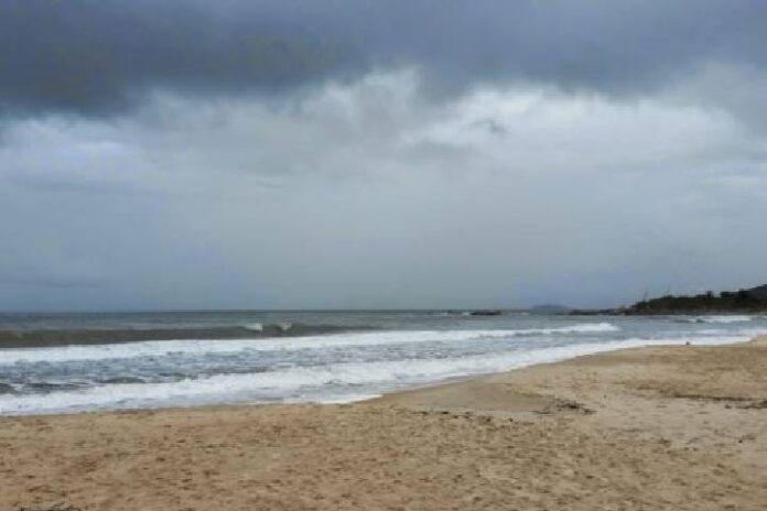 Novo Projeto - 2024-12-23T211431.846