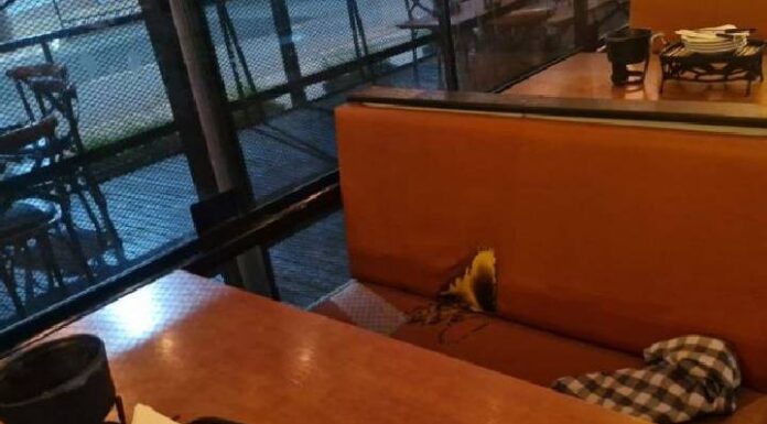 Mulher é entubada após fondue explodir e queimar 32% do seu corpo em rodízio de Balneário Camboriú
