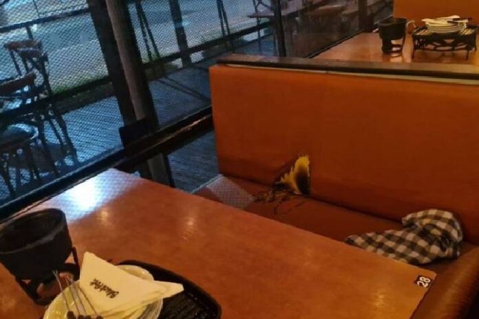 Novo Projeto - 2025-01-04T110516.751