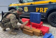 PRF localiza 132 kg de maconha em automóvel na BR-101 em Barra Velha
