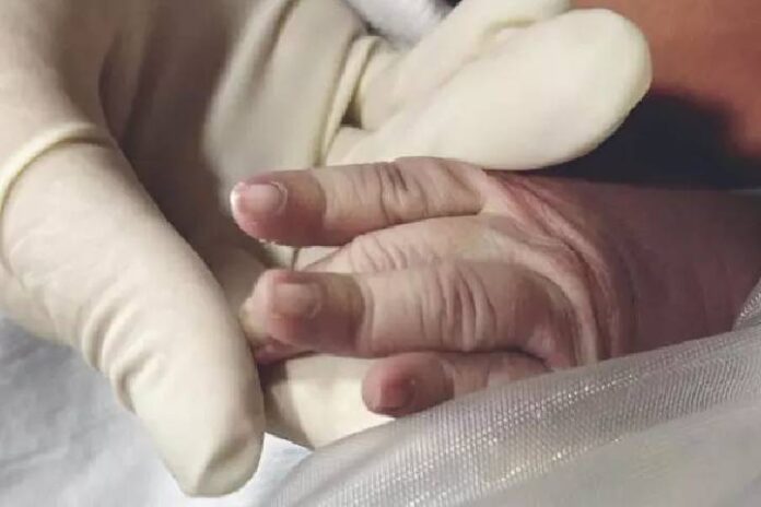 Novo Projeto - 2025-01-15T065706.963