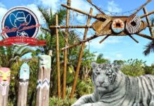 MP arquiva investigação sobre o destino dos animais do Beto Carrero World