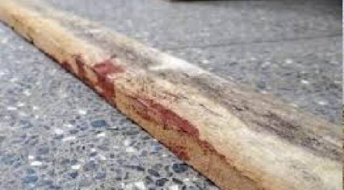 Idosa é brutalmente assassinada a pauladas após sair de baile em Itapoá
