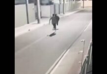 VIDEO Polícia prende homem que matou vítima a facadas no São Vicente, em Itajaí