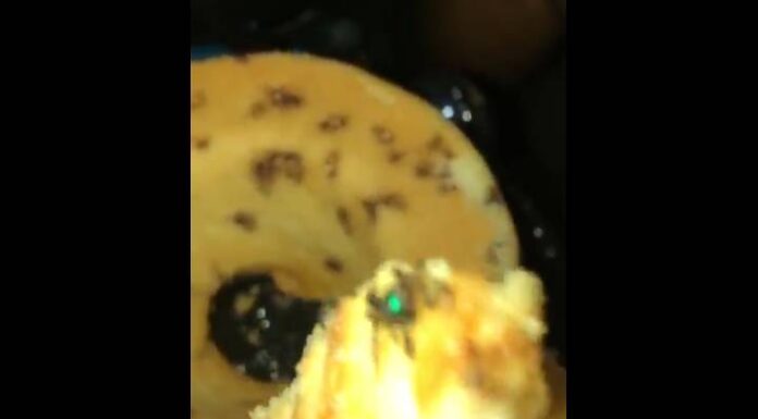 VEJA O VIDEO Bolo seco vem recheado com mosca-varejeira no Mercado Top de Penha