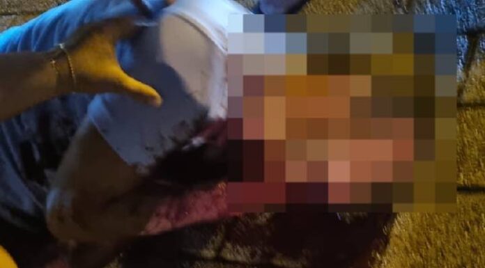 VIDEO Homem é baleado após discussão de trânsito em Navegantes