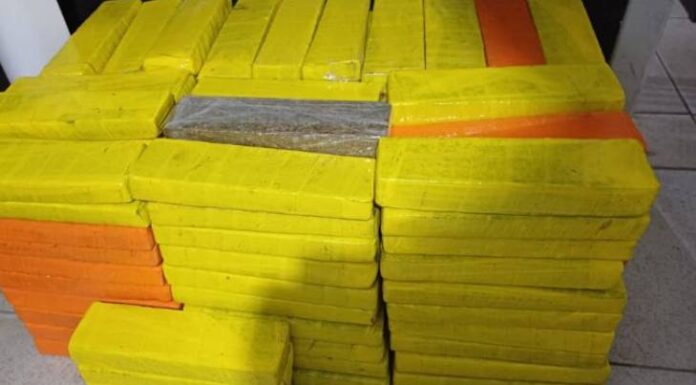 PRF persegue veículo e apreende 194 tabletes de maconha na BR-101, em Barra Velha