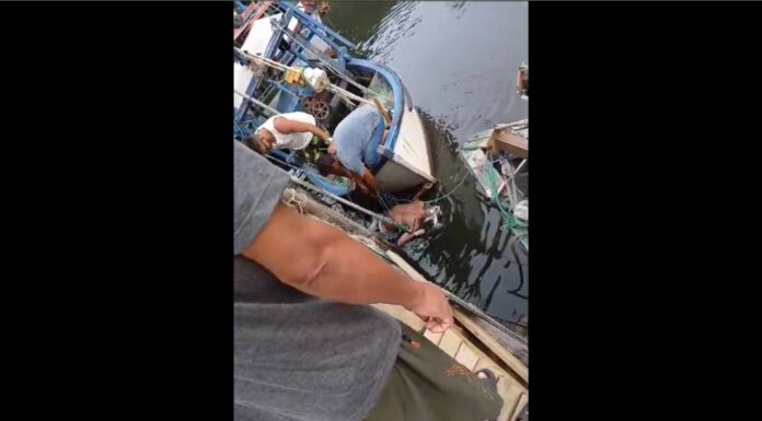 VÍDEO CHOCANTE Corpo de homem assassinado é achado no rio em Penha