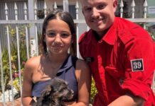Bombeiros de Ilhota resgatam cachorrinho preso dentro do bueiro