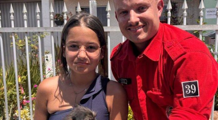 Bombeiros de Ilhota resgatam cachorrinho preso dentro do bueiro