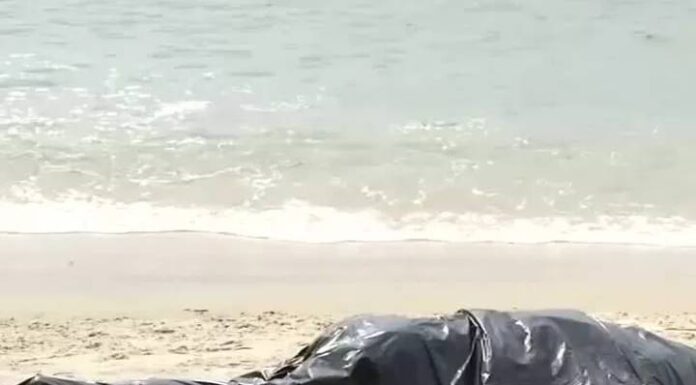 Corpo é encontrado na Praia Central de Navegantes
