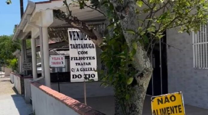 Morador da Prainha instala placas com pegadinhas e faz sucesso na internet