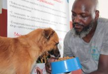 Navegantes cria banco para alimentar e cuidar de animais