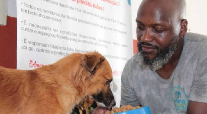Navegantes cria banco para alimentar e cuidar de animais