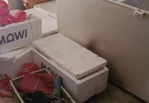 Enteado é preso acusado de matar padrasto e guardar corpo em freezer no RS