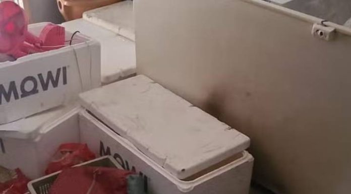 Enteado é preso acusado de matar padrasto e guardar corpo em freezer no RS