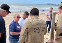 Pitbull é encontrado morto com sinais de facada na cabeça em Navegantes