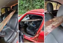 Máquina agrícola atravessa carro e fere grávida de seis meses em SC