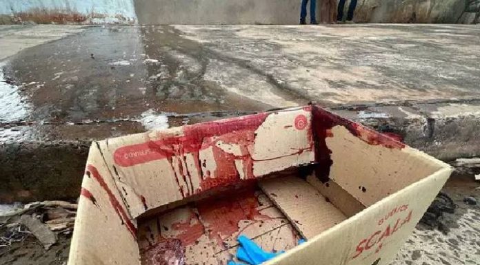 Homem morre em calçada após ser espancado e esfaqueado