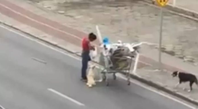 EXEMPLO Mulher em situação de rua compartilha refeição com cachorro