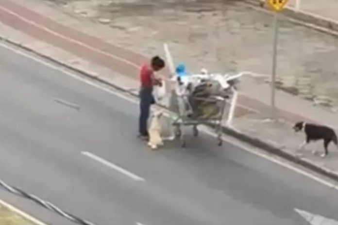 Novo Projeto - 2025-03-10T114527.500