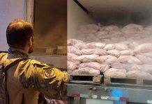 PRF apreende 3 toneladas de camarão contrabandeado em Balneário Piçarras (SC)
