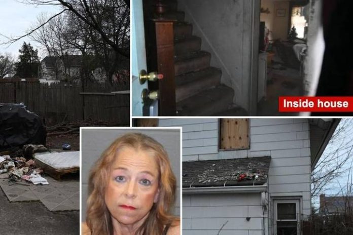 Novo Projeto - 2025-03-14T065636.519