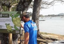 Hoje tem manifesto pela preservação das tartarugas na Praia do Cascalho, em Penha