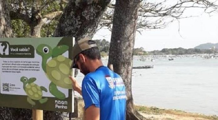 Hoje tem manifesto pela preservação das tartarugas na Praia do Cascalho, em Penha