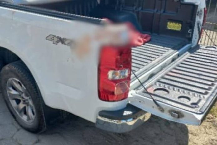 Novo Projeto - 2025-03-17T200157.103