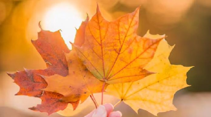 Outono começa hoje com temperaturas de verão em Santa Catarina