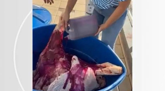 Estabelecimento usa corante para avermelhar carne estragada e deixá-la com ‘ar de frescor’ em SC