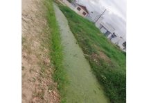 QUINTA DOS AÇORIANOS Moradores de Barra Velha reclamam da falta de limpeza em valas
