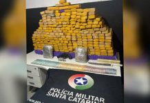 Idoso e comparsa são presos com 200 quilos de maconha em Itajaí