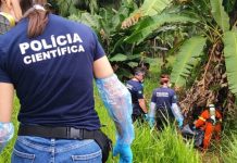 Trabalhador encontra corpo sob galhos às margens da BR-470 em Gaspar