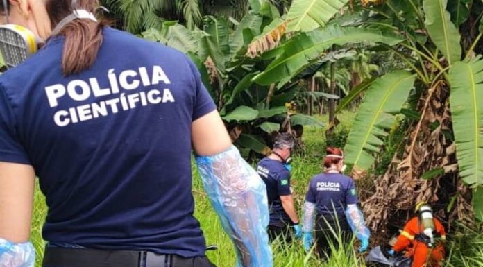 Trabalhador encontra corpo sob galhos às margens da BR-470 em Gaspar